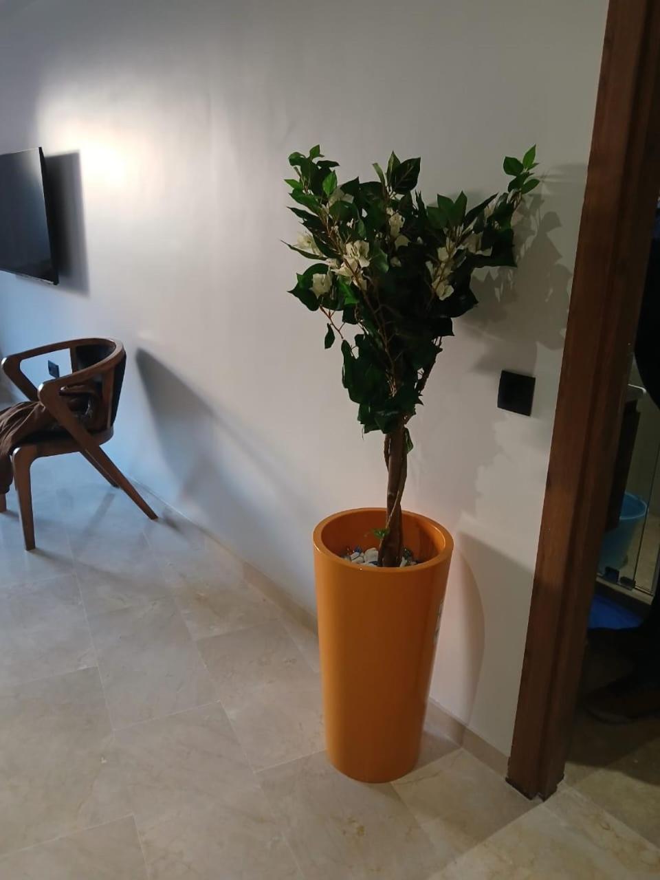 Marrakech Semlalia Gueliz Appartement